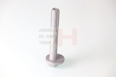 SURUB CORECTARE INCLINARE GH GH391592 31