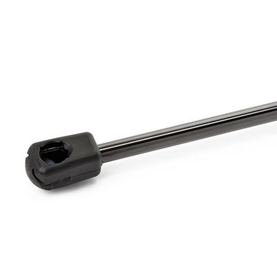 газов амортисьор, капак на двигателя RIDEX 514G0005