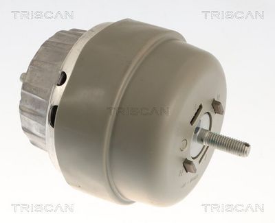 окачване, двигател TRISCAN 8505 291001