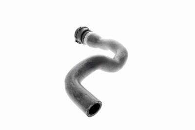 FURTUN RADIATOR VAICO V200901 3