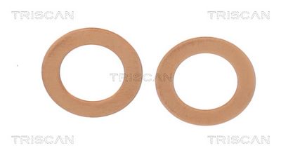 Bremseslange TRISCAN 8150 431025