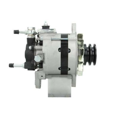 Alternátor BV PSH 195.808.060.050