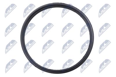 GARNITURA INTINZATOR LANT DE DISTRIBUTIE NTY EZCPL151 1