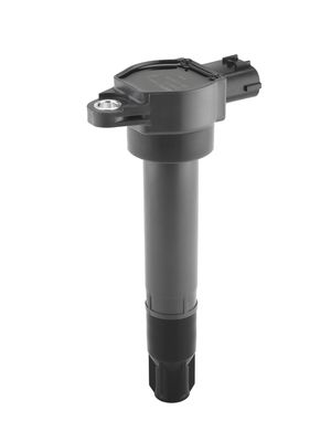 BOBINA DE INDUCTIE BorgWarner (BERU) ZSE315 1