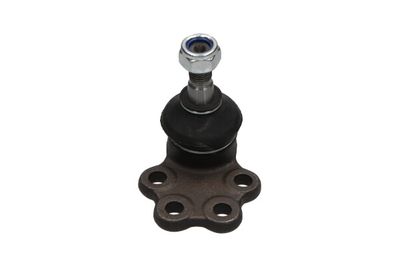 Kavo Parts Šarnyras / girgždukas