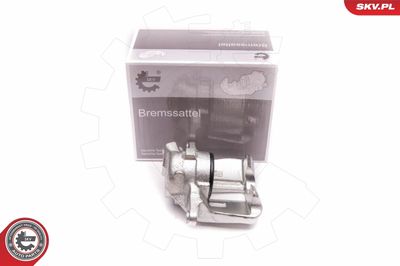 Brake Caliper 23SKV722