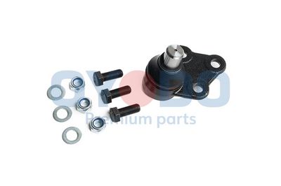 Šarnyras / girgždukas