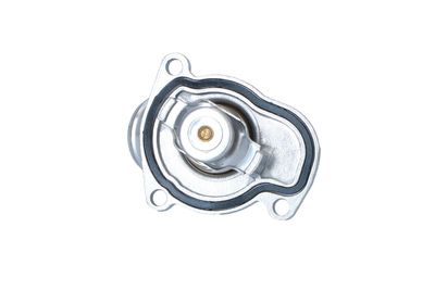 TERMOSTAT LICHID RACIRE NRF 725144 12