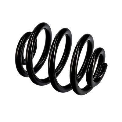 ARC SPIRAL EIBACH R10087 21