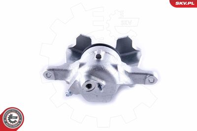 Brake Caliper 55SKV392