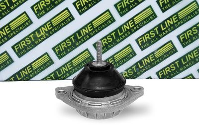 окачване, двигател FIRST LINE FEM3163