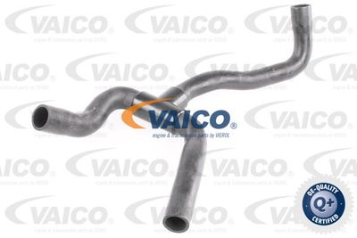 Шланг, вентиляция картера VAICO V25-1242 для FORD TRANSIT