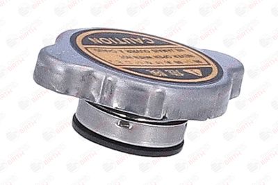 BUSON RADIATOR BIRTH 81184 6