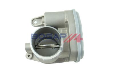 CARCASA CLAPETA BOGAP F6319100 5