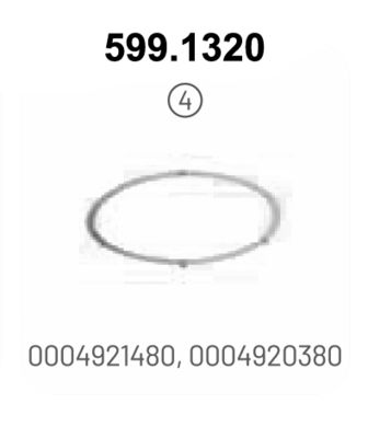 COLIER SISTEM DE ESAPAMENT