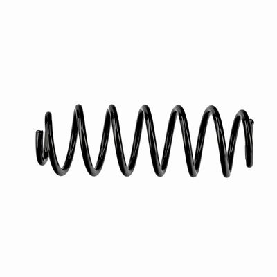 ARC SPIRAL EIBACH R10795 19