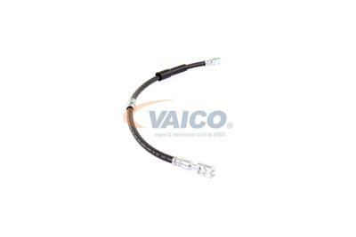 FURTUN FRANA VAICO V104138 43