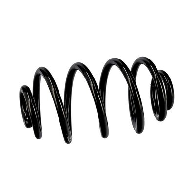 ARC SPIRAL EIBACH R10050 6