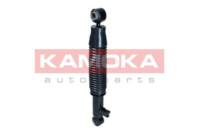 Shock Absorber 2001211