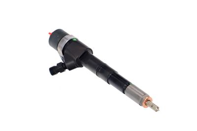 INJECTOR REMANTE 002003001674R 49