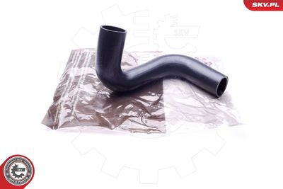 FURTUN EAR SUPRAALIMENTARE