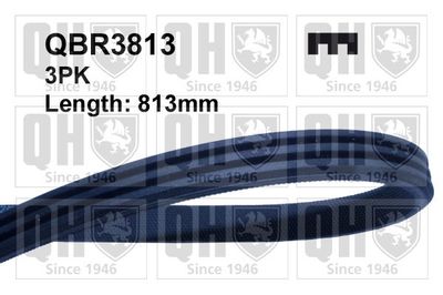 QUINTON HAZELL QBR3813 Поликлиновой ремень 