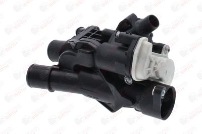 FLANSA LICHID RACIRE BIRTH 81801 2