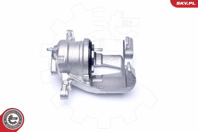 Brake Caliper 42SKV232