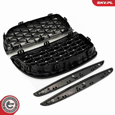 GRILA RADIATOR ESEN SKV 66SKV094 4