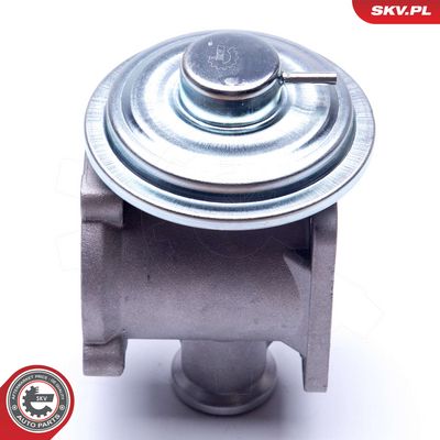 AGR - Ventil ESEN SKV 14SKV178