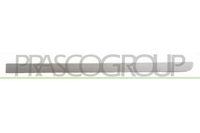 ELEMENTE DECORATIVE/PROTECTIE PORTIERA PRASCO OP3501464