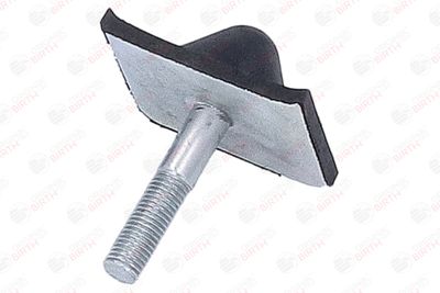 BUCSA ARC FOI BIRTH 56718 2