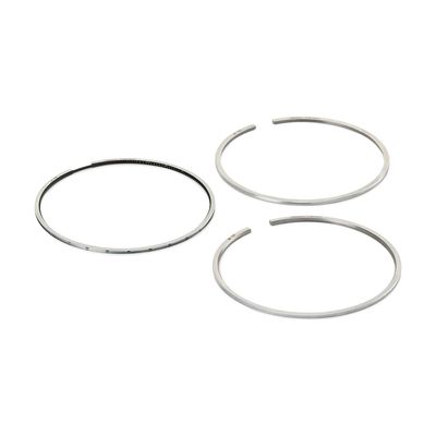 комплект сегменти RIDEX 444P0551