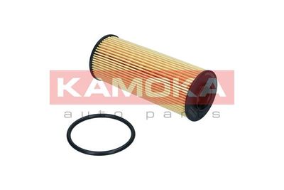 Oil Filter F122801