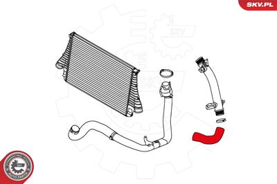 FURTUN EAR SUPRAALIMENTARE