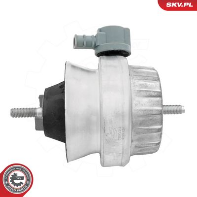 Variklio montavimas SKV GERMANY 75SKV212