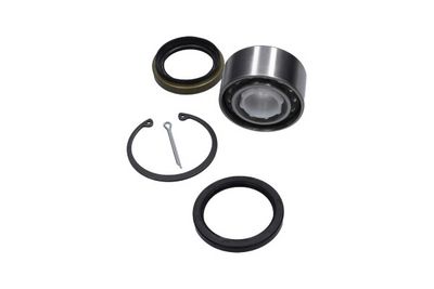 Kavo Parts Rato guolio komplektas