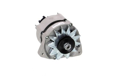 GENERATOR / ALTERNATOR REMANTE 011003000454R 58