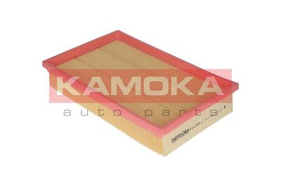 Air Filter F210301