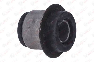 SUPORT TRAPEZ BIRTH 2008 11