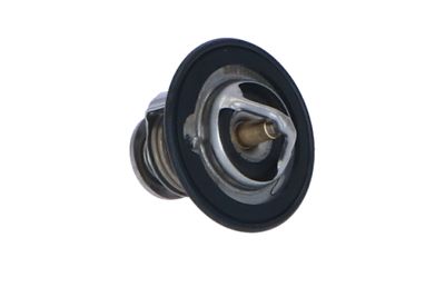 TERMOSTAT LICHID RACIRE NRF 725143 42