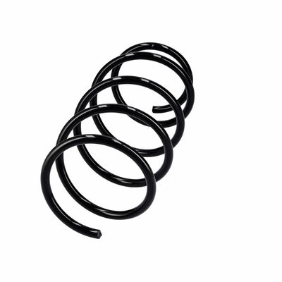 ARC SPIRAL EIBACH R10991 2