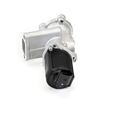 SUPAPA EGR DELPHI EG1064212B1 19