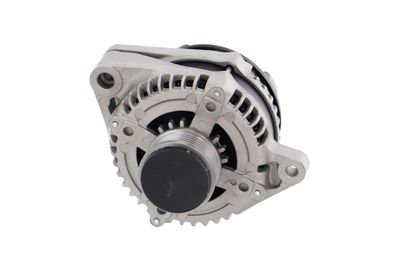 GENERATOR / ALTERNATOR REMANTE 011003000061R 29