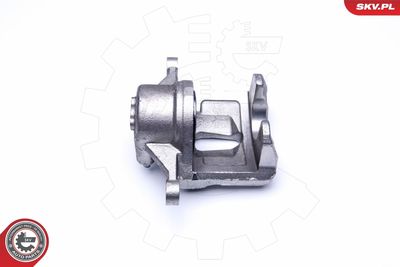 Brake Caliper 42SKV482