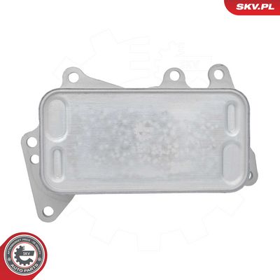 RADIATOR ULEI ULEI MOTOR ESEN SKV 31SKV331 1