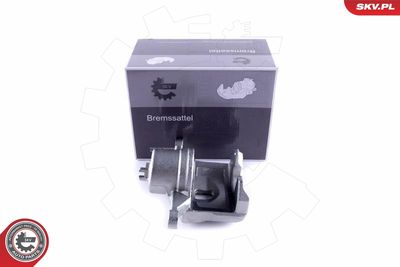 Brake Caliper 55SKV272