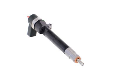 INJECTOR REMANTE 002003001108R 50