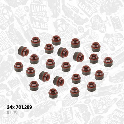 Komplet ventila, usisni/ispušni ventil ET ENGINETEAM boxET – service kit VS0036