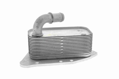 RADIATOR ULEI ULEI MOTOR VEMO V40602099 5